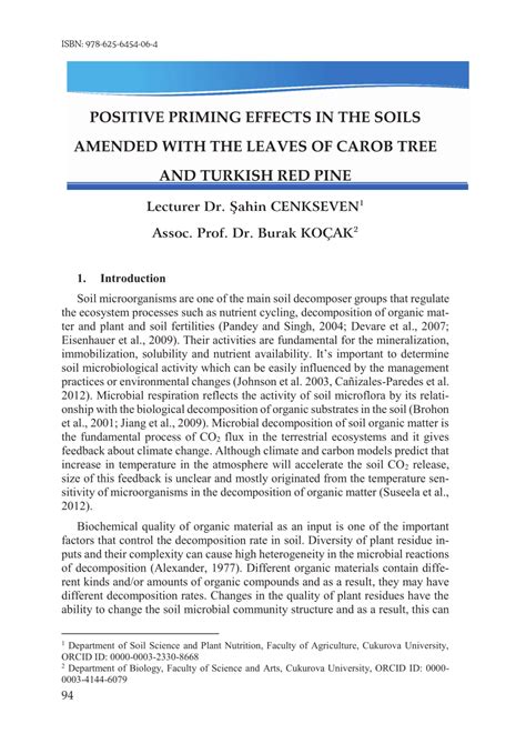 pine trees effect on soil.